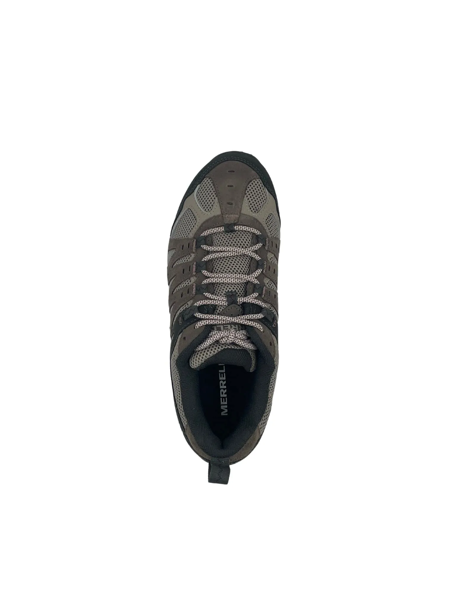 Accentor 3 - Women