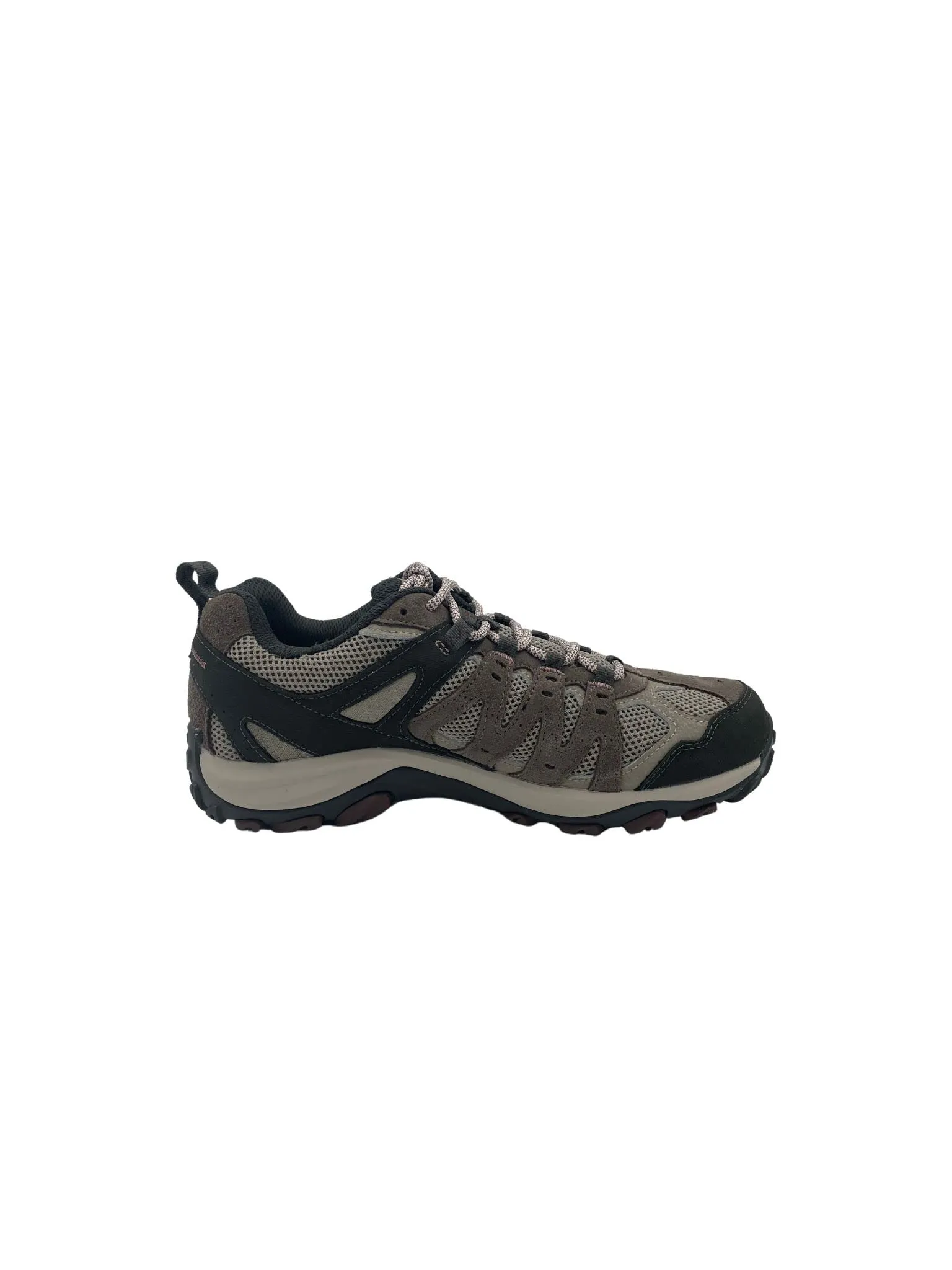 Accentor 3 - Women