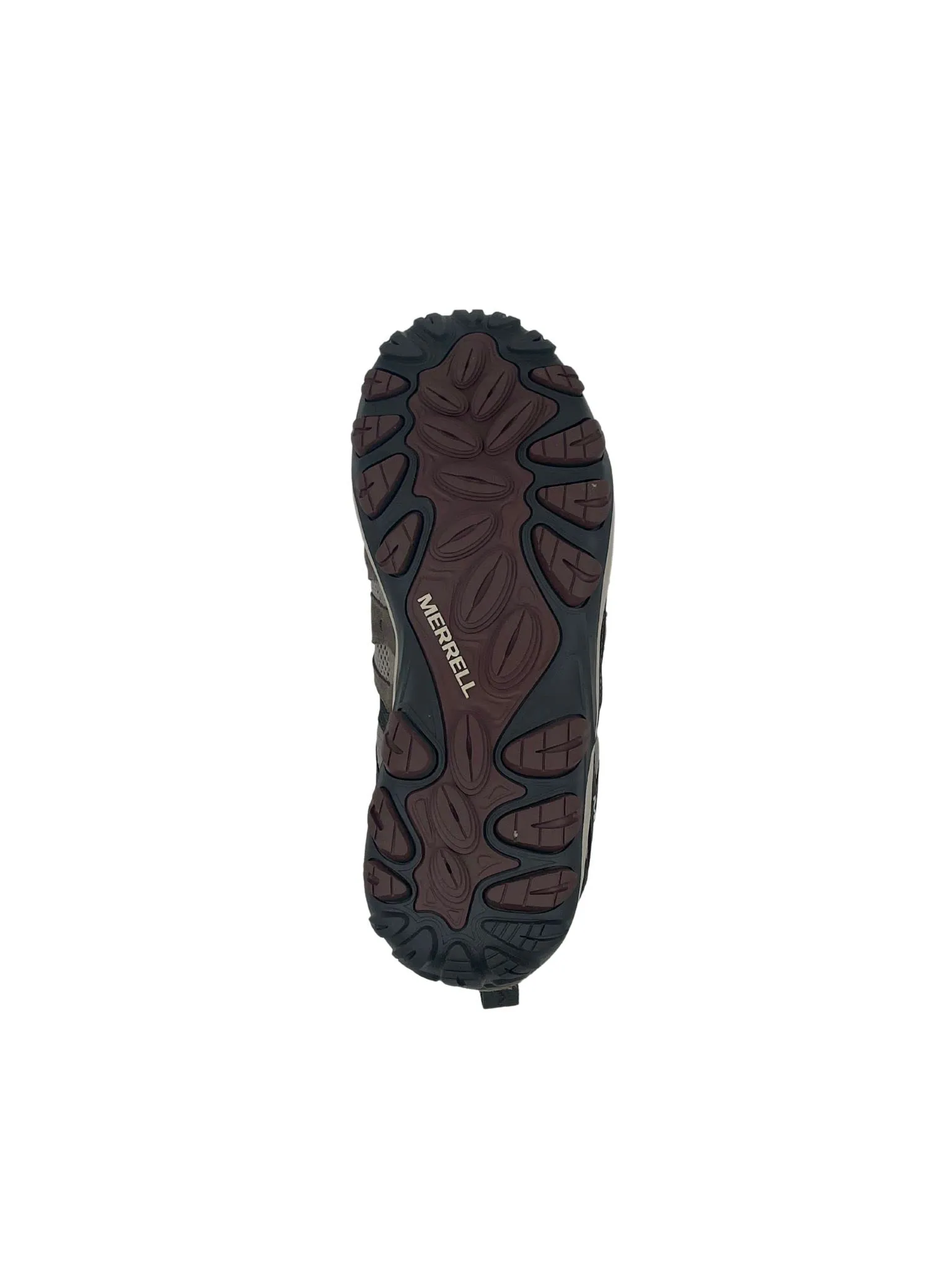 Accentor 3 - Women
