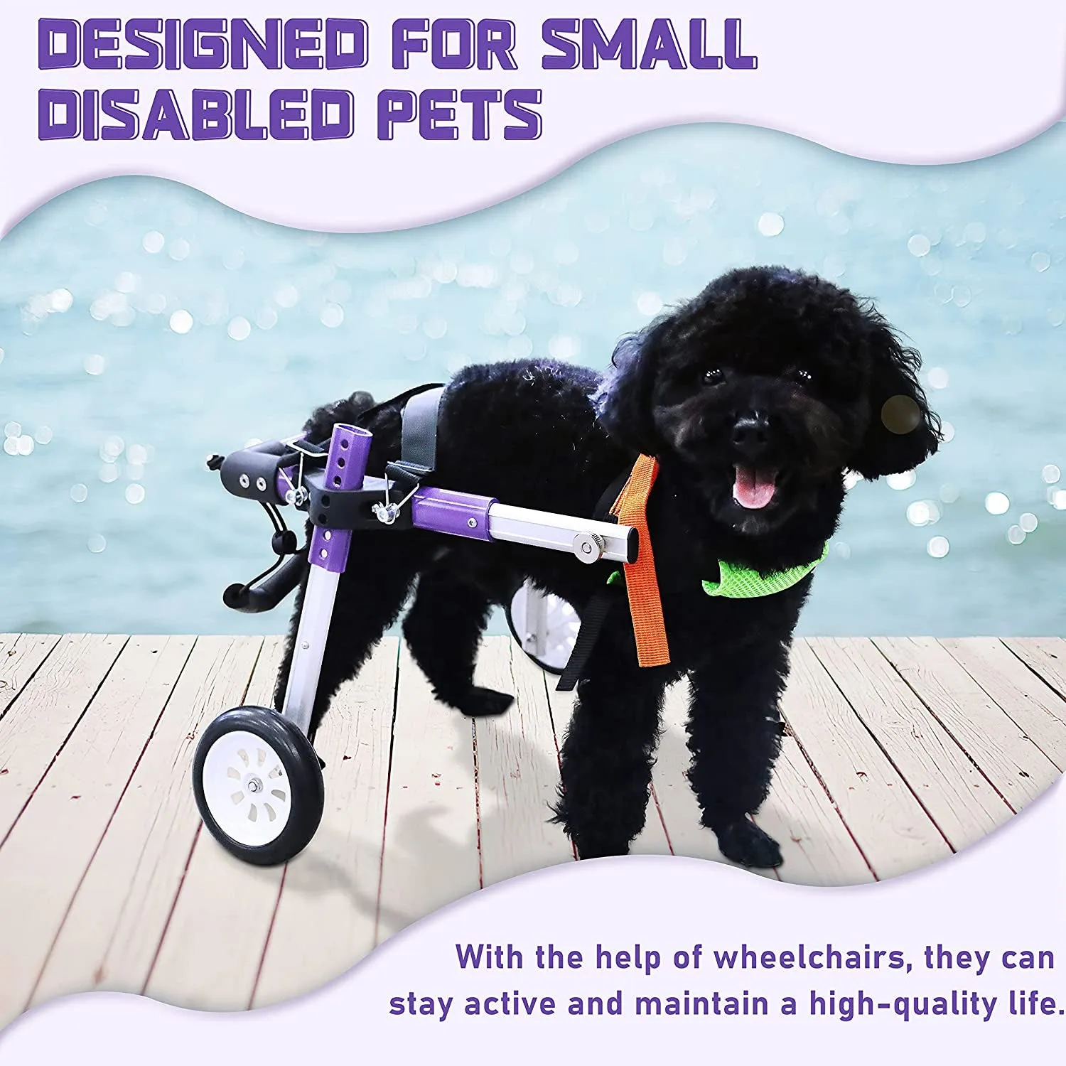 Adjustable Dog Wheelchair for Back Legs
