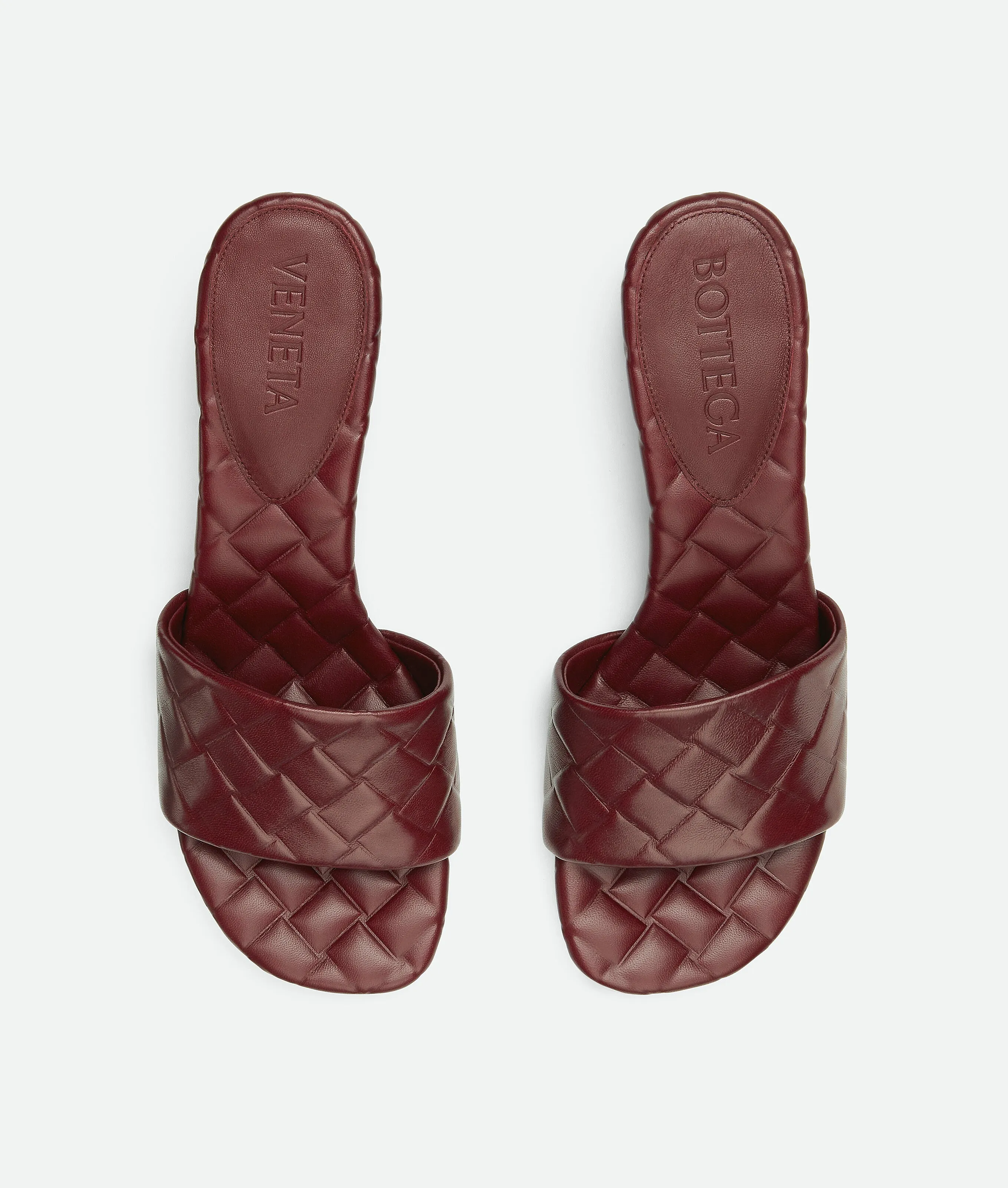 Amy Mule