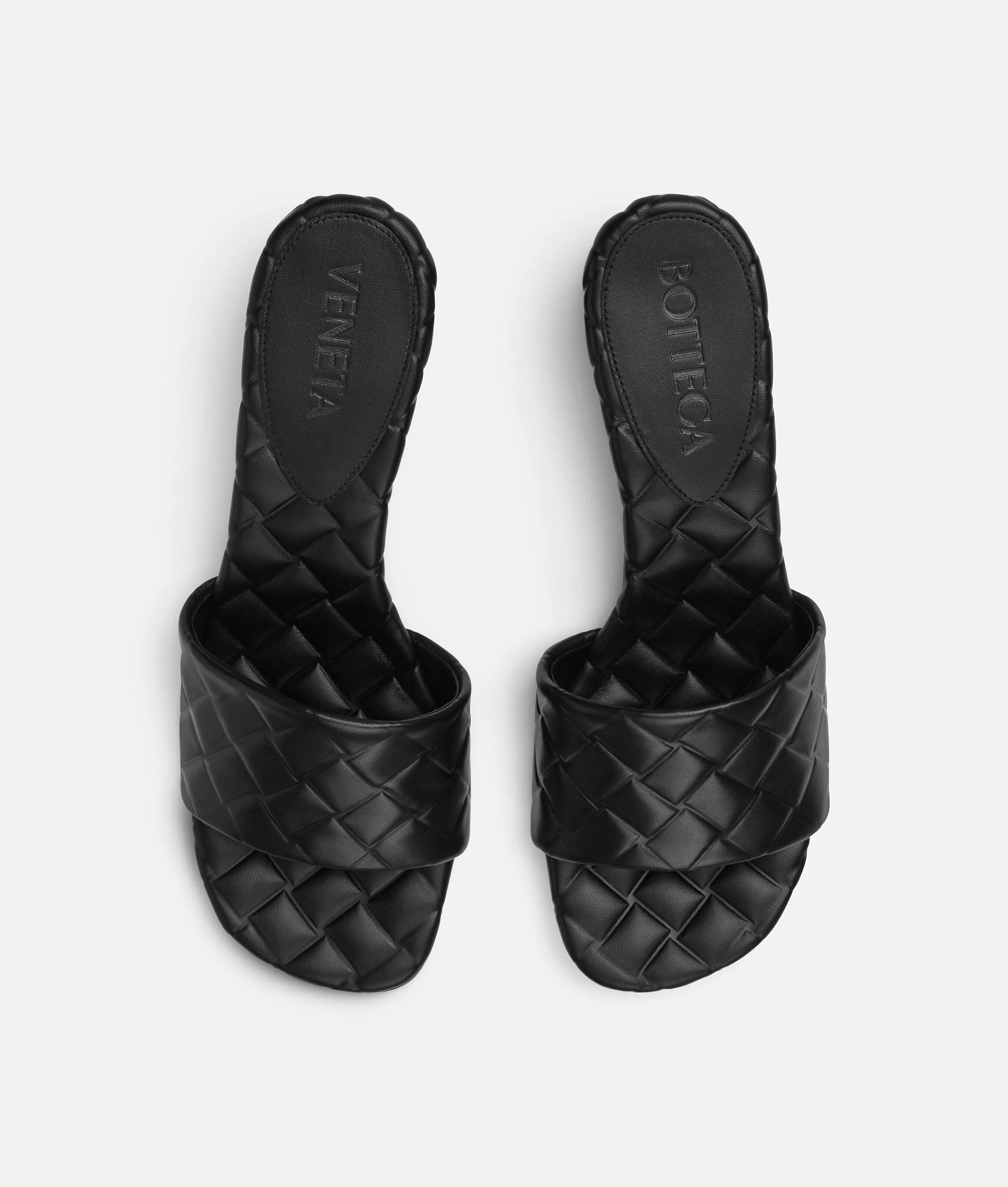 Amy Mule