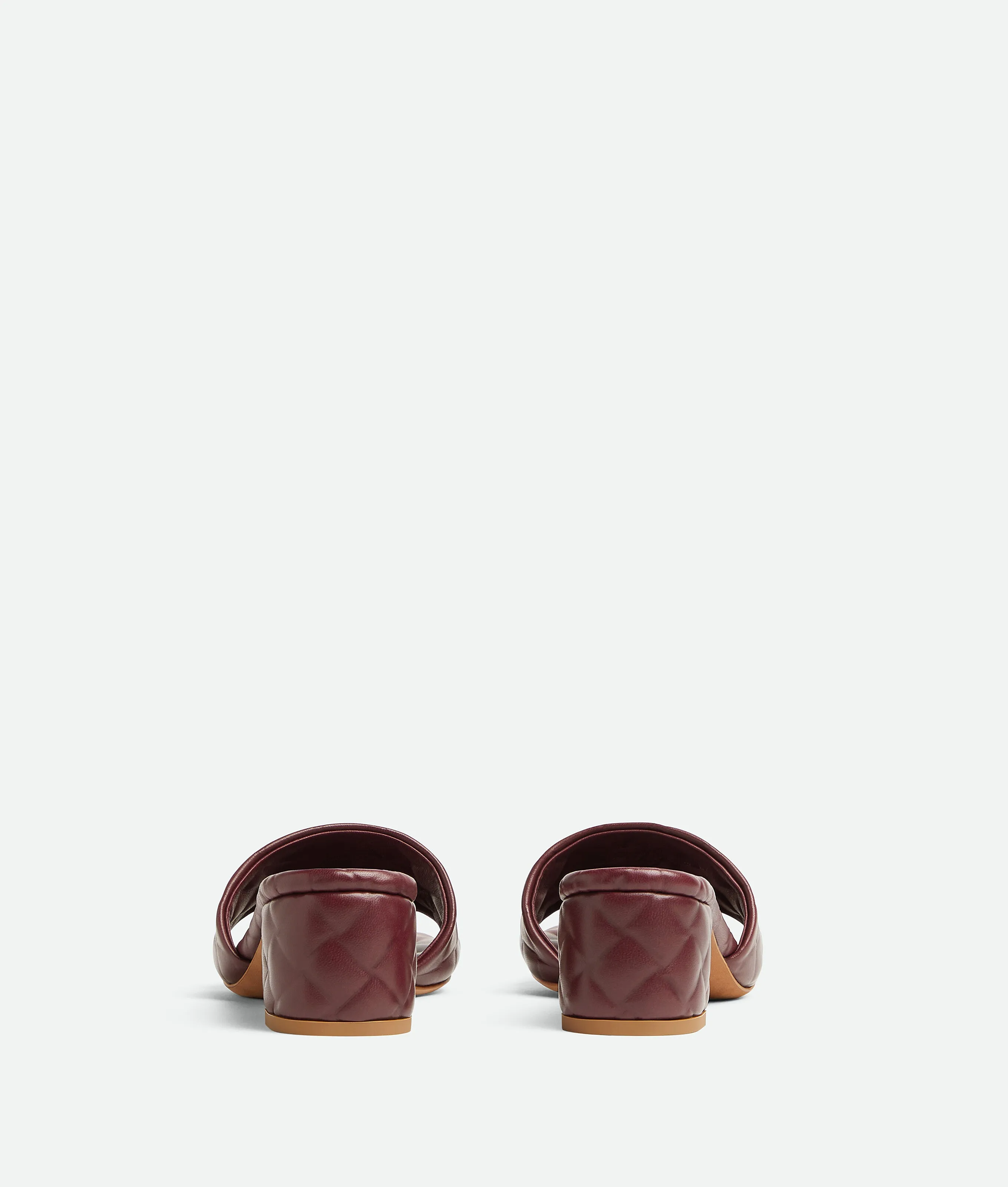 Amy Mule