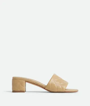 Amy Mule