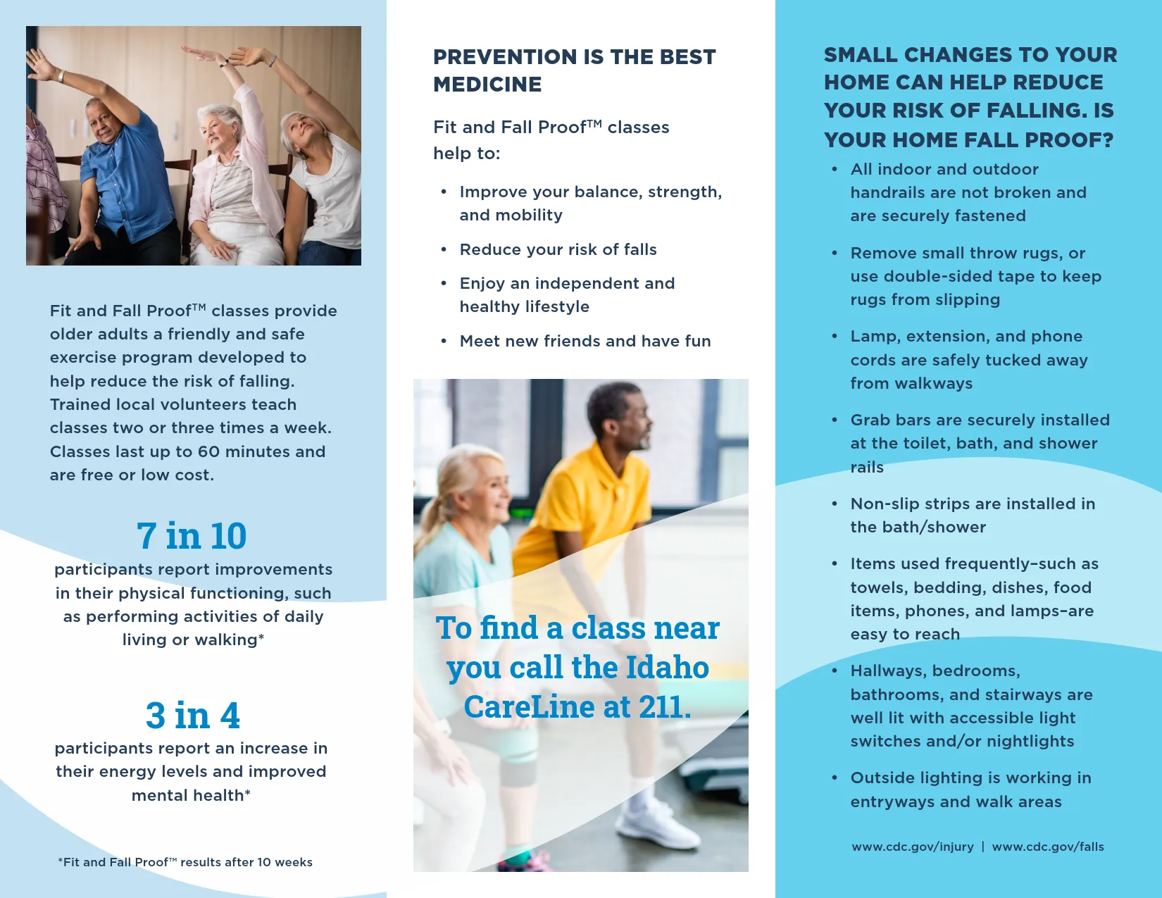 Fit and Fall Proof™ Brochure (Participant) for Download Only