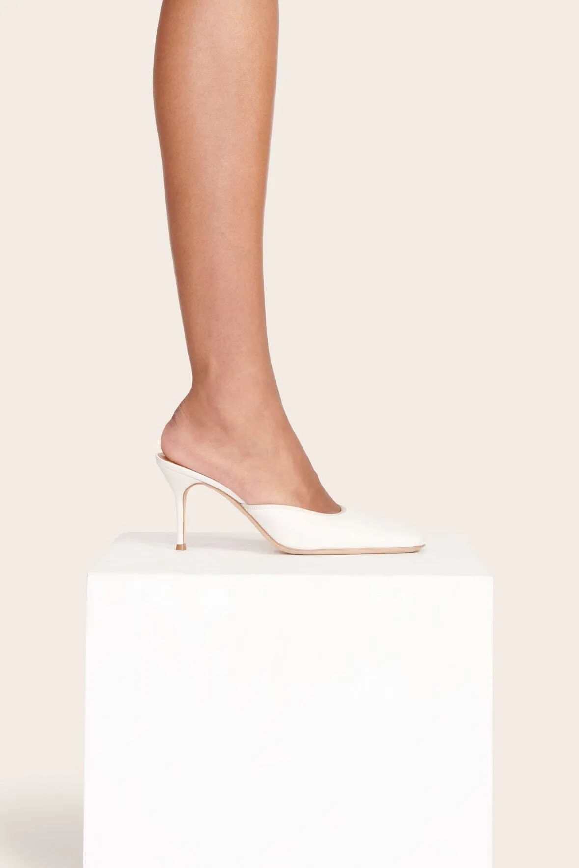 OTTO MULE | PAPER