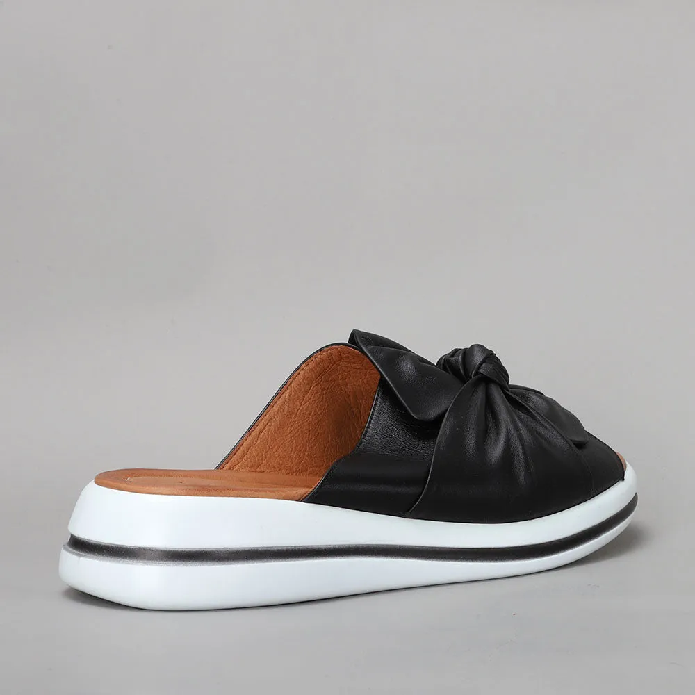 Salsa - Black