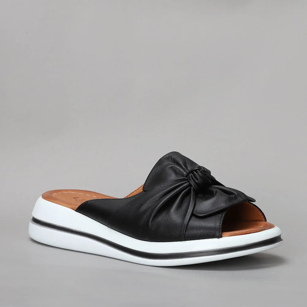 Salsa - Black