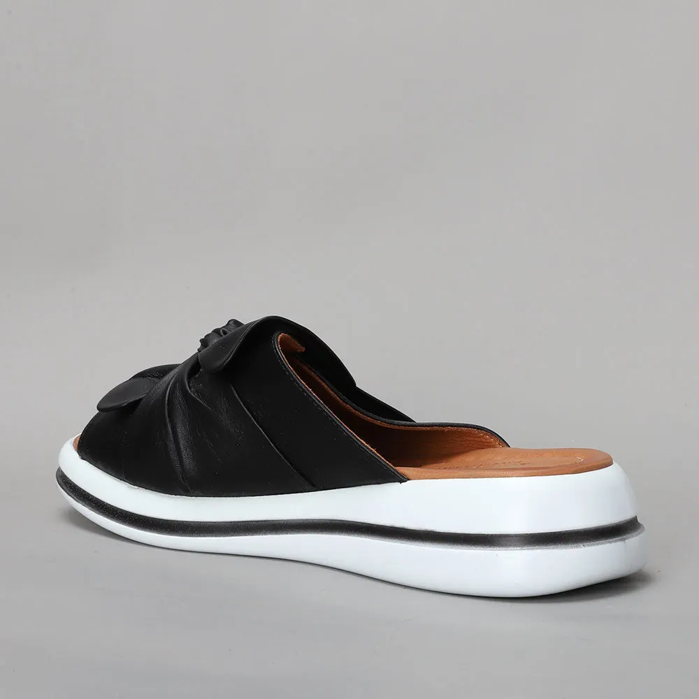 Salsa - Black
